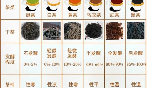 茶多酚提取物-茶多酚有什么功效网 - 茶多酚有什么功效,茶多酚提取物